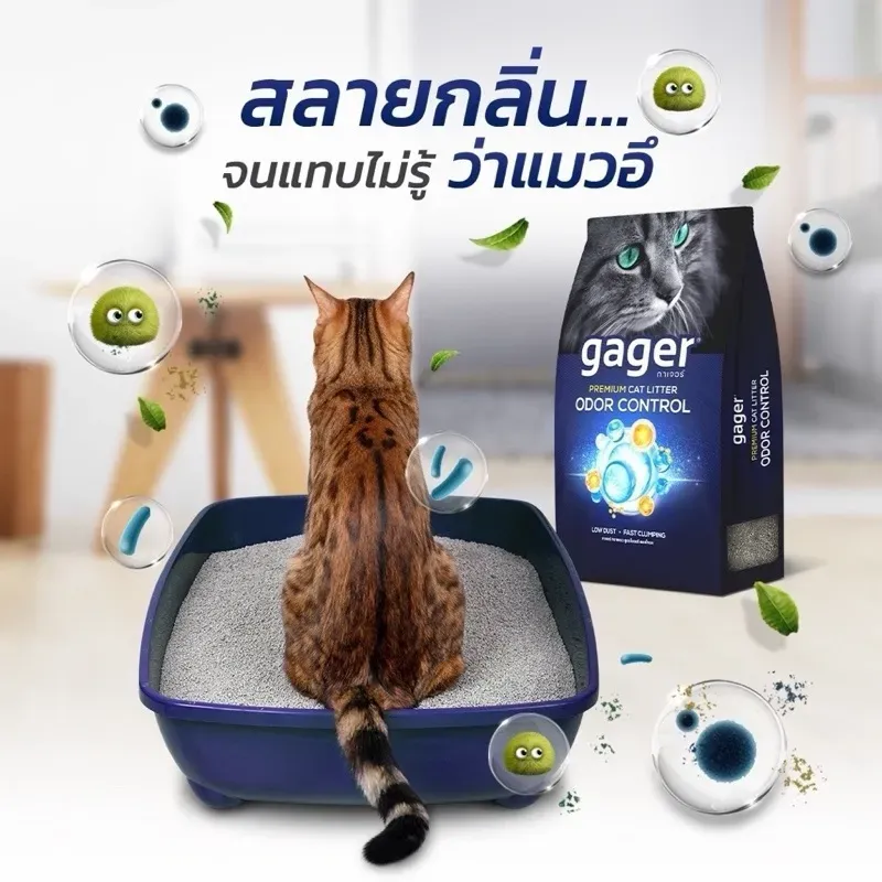 Gager ทรายแมวภูเขาไฟ/เบนโทไนท์ เกรดพรีเมียม รูปที่ 4