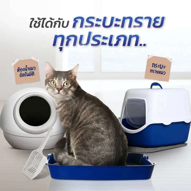 Gager ทรายแมวภูเขาไฟ/เบนโทไนท์ เกรดพรีเมียม รูปที่ 2
