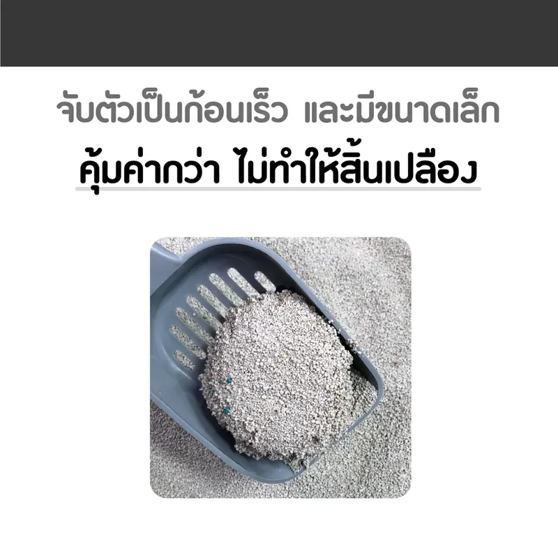 CatMe Classic 10L ทรายแมวภูเขาไฟ ทรายอนามัย รูปที่ 3