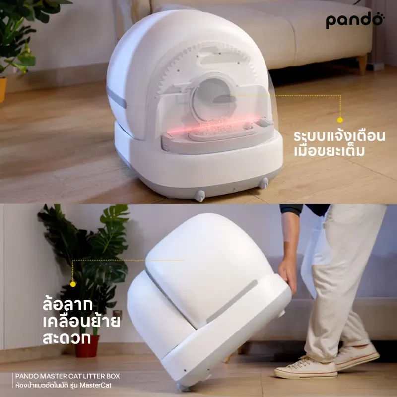 PANDO MASTER รูปที่ 3