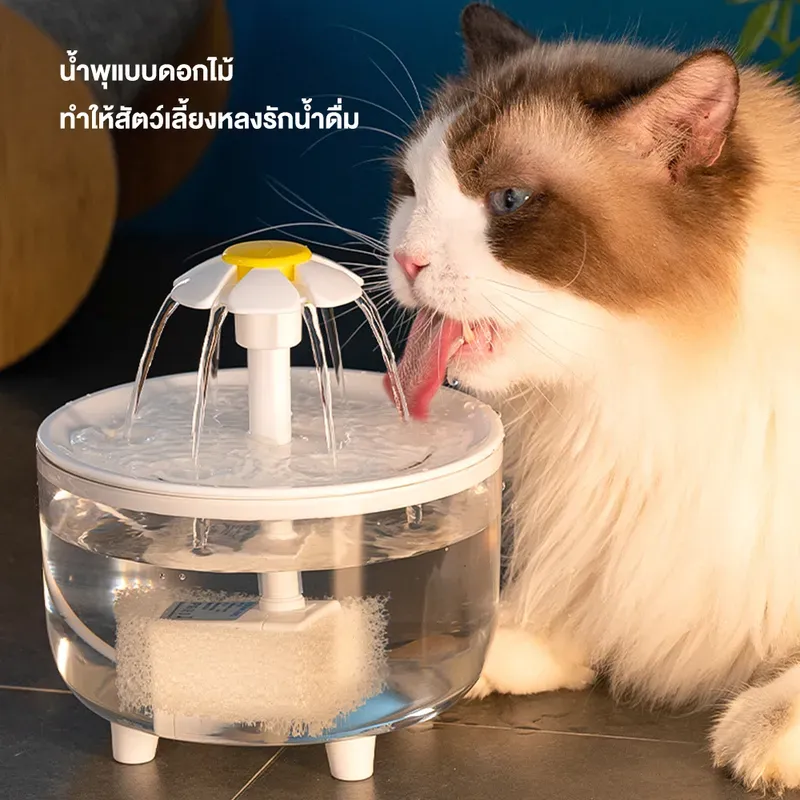 Petcho น้ำพุแมวทรงดอกไม้ รูปที่ 2