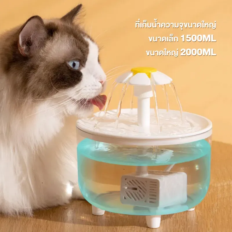 Petcho น้ำพุแมวทรงดอกไม้ รูปที่ 3