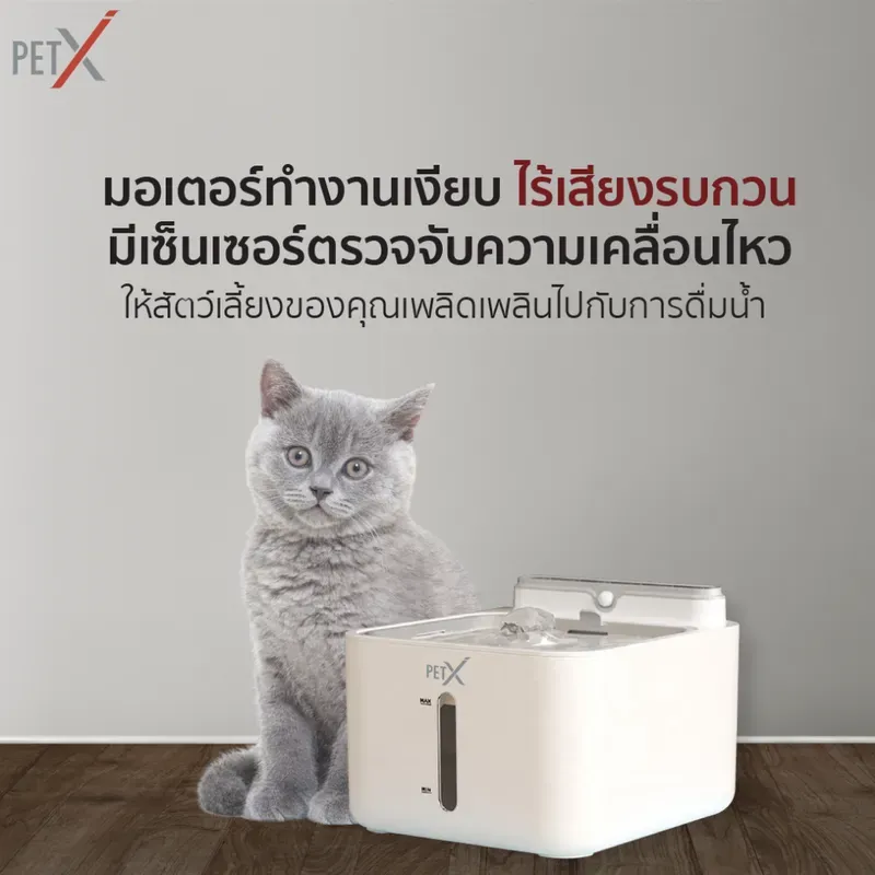 PETX Fresh Fountain V.3 รูปที่ 3
