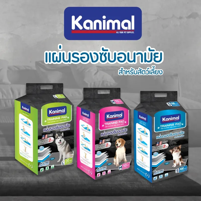 Kanimal Activated Carbon Pad แผ่นรองฉี่สุนัข สูตรคาร์บอน พร้อมเทปกาวติดพื้น รูปที่ 3
