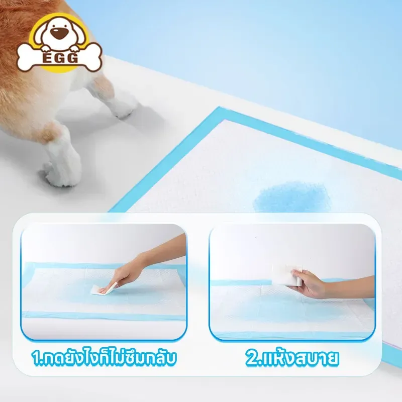 EGG แผ่นรองฉี่สุนัข รุ่นหนาขึ้น รูปที่ 4
