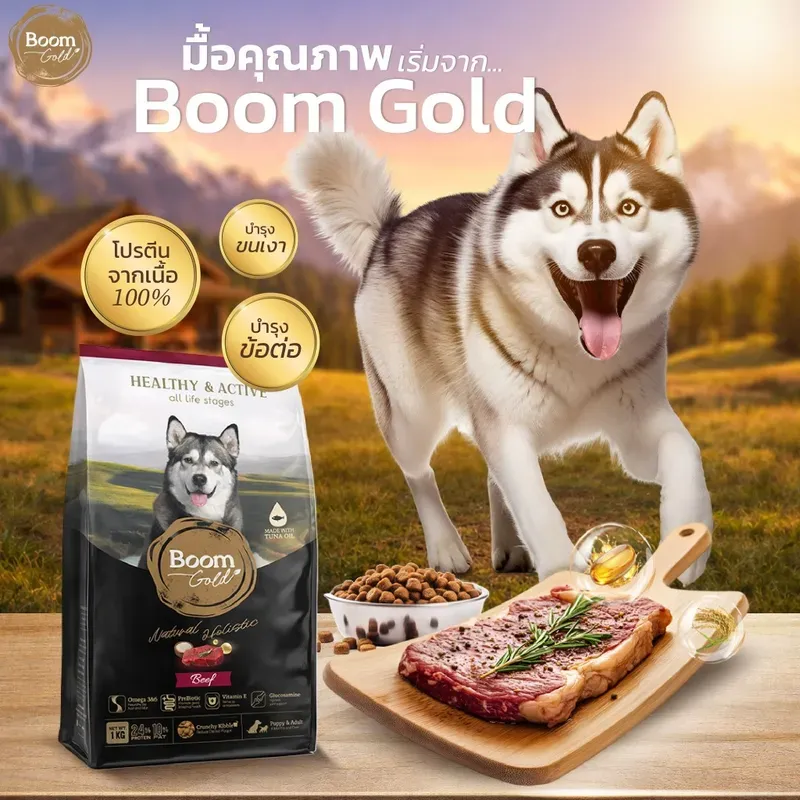 Boom Gold อาหารสุนัข รสเนื้อวัว 10 กก. รูปที่ 2