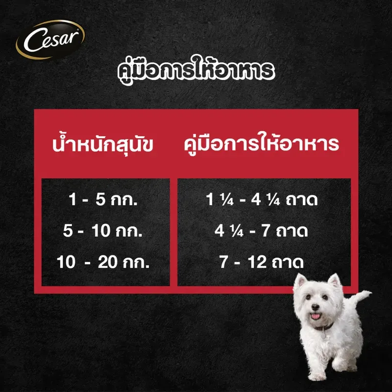 Cesar อาหารเปียกสุนัข แบบถาด รูปที่ 4