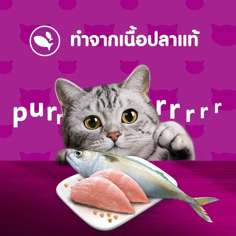 Whiskas วิสกัส เพาซ์ อาหารเปียกแมว 80 กรัม รูปที่ 2