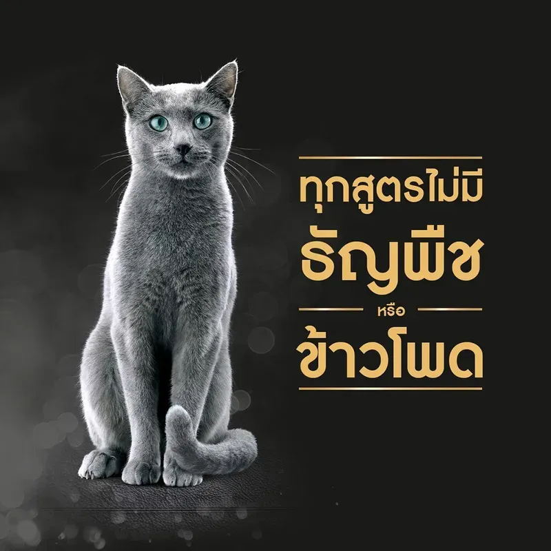 Sheba อาหารเปียกแมวแบบซอง 70 g รูปที่ 2