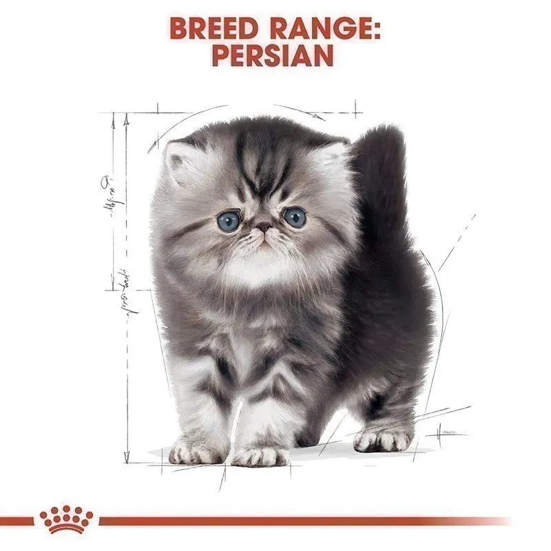 Royal Canin Kitten Persian รูปที่ 2