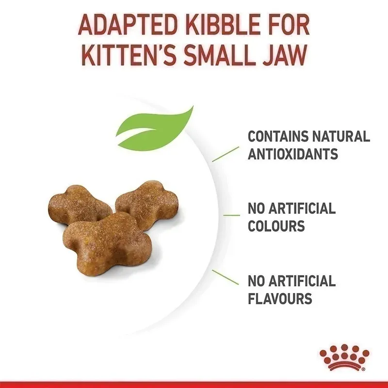 Royal Canin Kitten รูปที่ 2