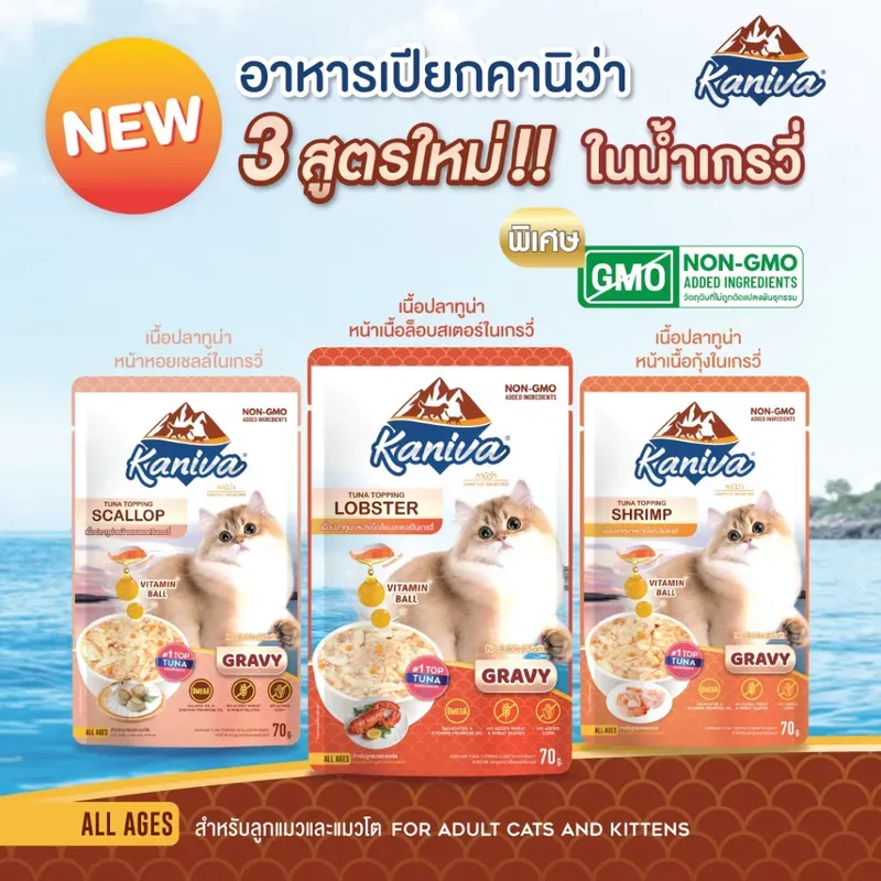 Kaniva Pouch In Gravy รูปที่ 2