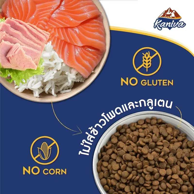 Kaniva Salmon อาหารเม็ด รูปที่ 3
