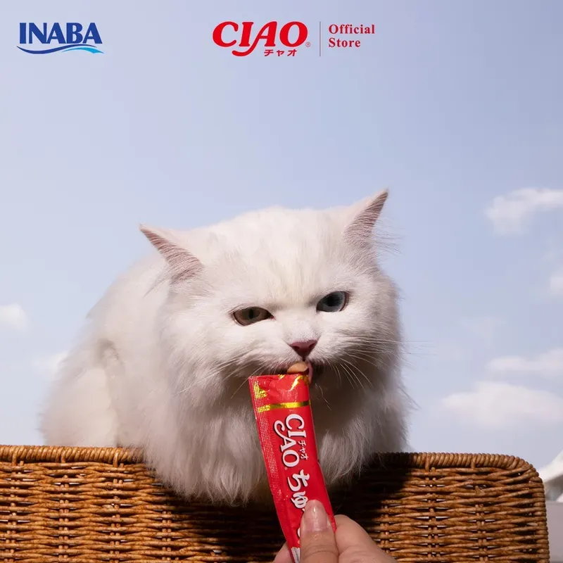 CIAO ชูหรุ (Chu-ru) กระปุก 50 ชิ้น รูปที่ 3