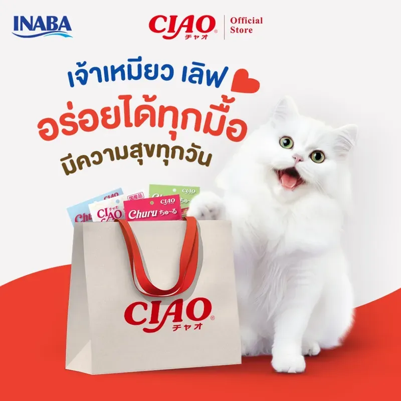 CIAO ชูหรุ (Chu-ru) กระปุก 50 ชิ้น รูปที่ 4