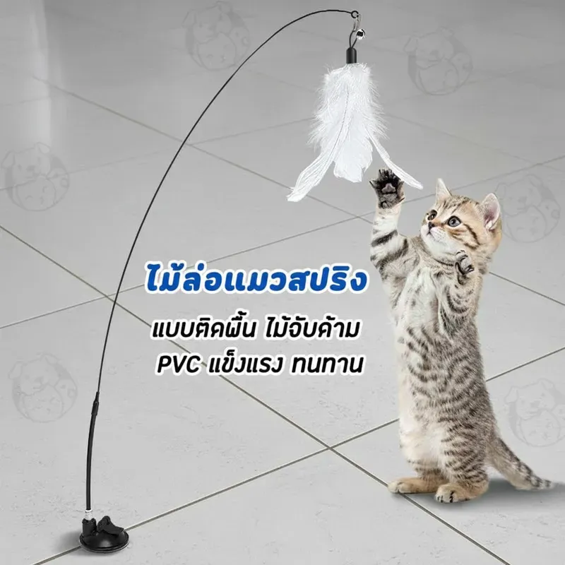 Catto ไม้ตกแมวฐานดูด มีขนนกและกระดิ่ง รูปที่ 3