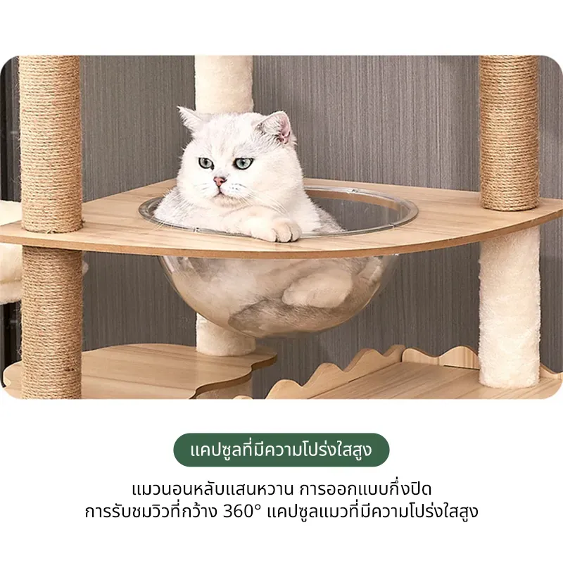 Dulepig B1 100×176 ซม. รูปที่ 2