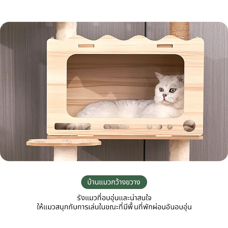 Dulepig B1 100×176 ซม. รูปที่ 3