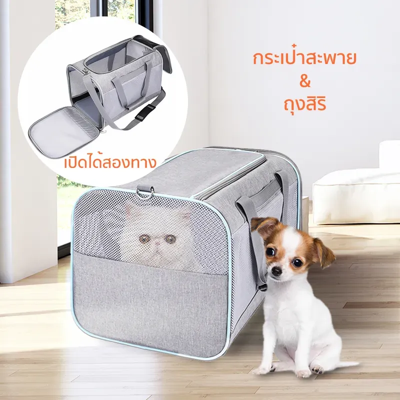 Petcho CARRIER05 รูปที่ 2