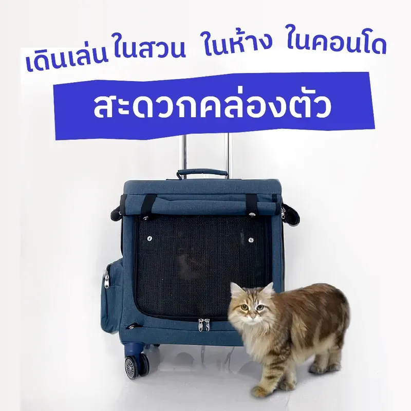 JAYWA เป้ล้อลากสัตว์เลี้ยง 81200009 (BIGDUO) รูปที่ 4