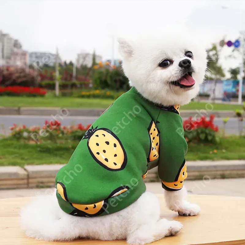 Petcho เสื้อลายน่ารัก รูปที่ 2