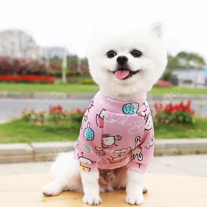 Petcho เสื้อลายน่ารัก รูปที่ 3