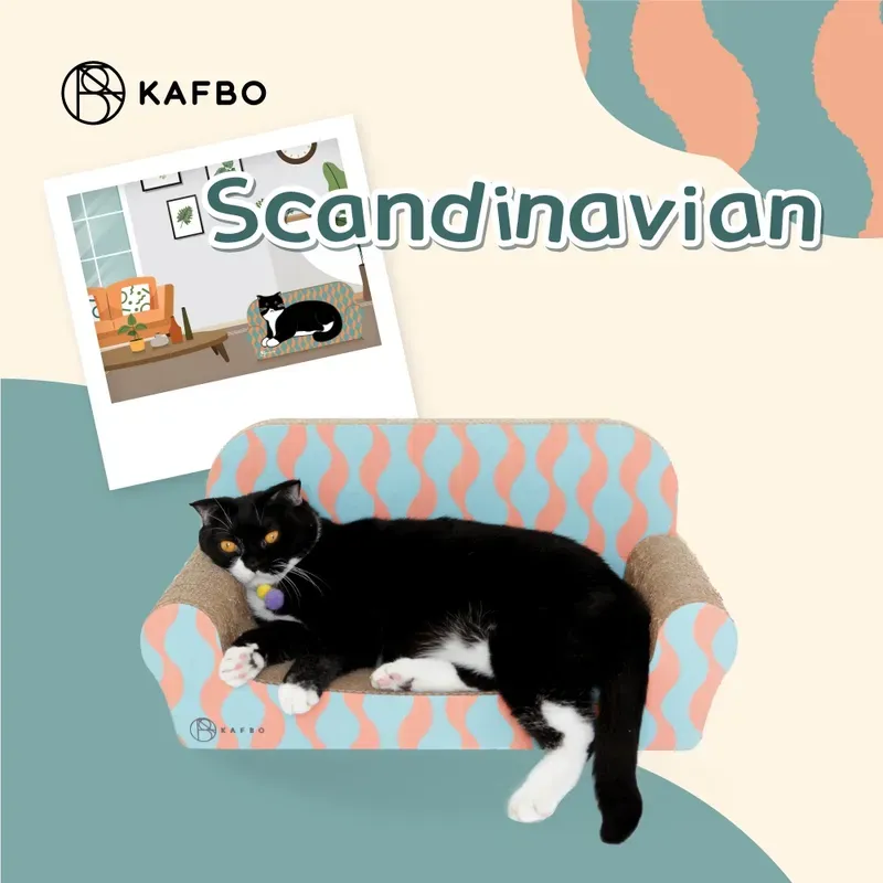 KAFBO Cat Sleeper Sofa รูปที่ 2