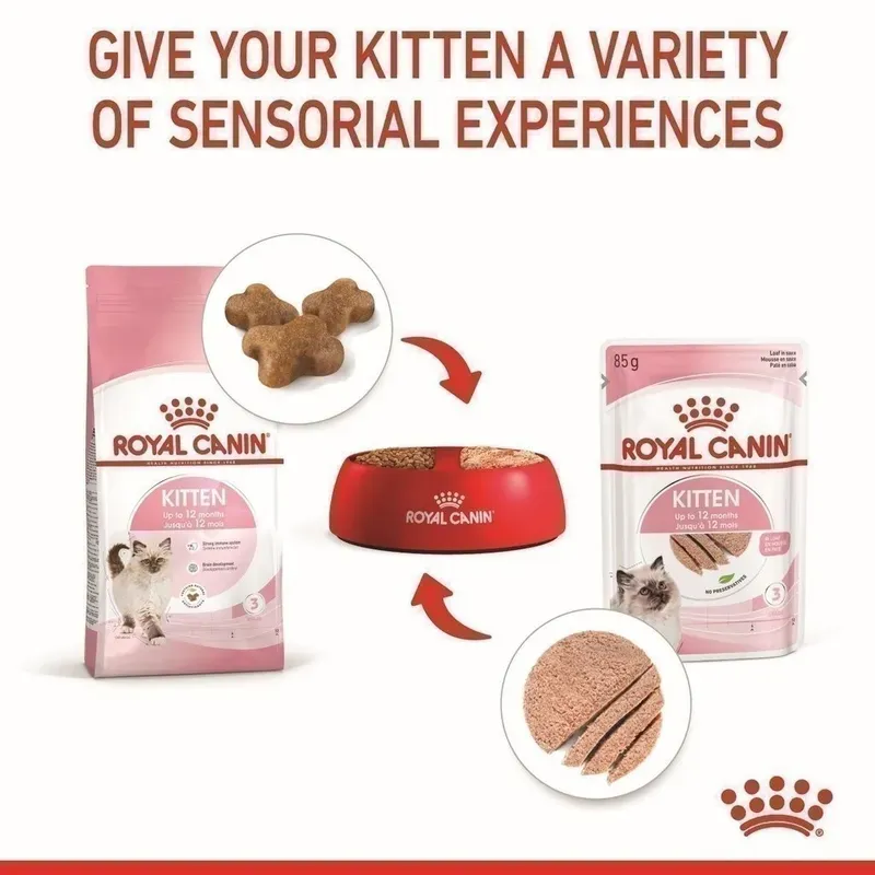 Royal Canin Kitten Pouch Loaf 85g x 12 ซอง รูปที่ 2