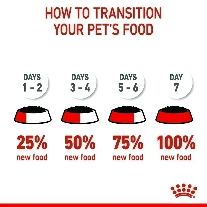 Royal Canin Kitten Pouch Loaf 85g x 12 ซอง รูปที่ 4