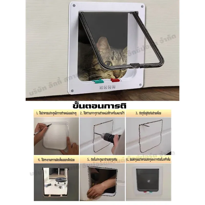 ประตูแมวบานสวิง 4 โหมด ไม่ระบุแบรนด์ รูปที่ 2