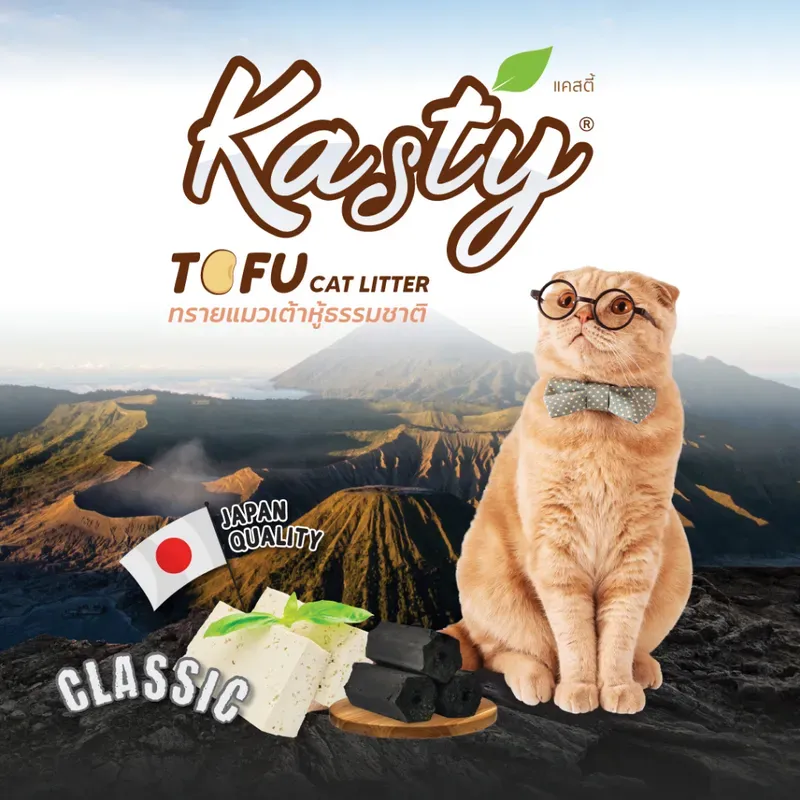 Kasty Natural Tofu Classic รูปที่ 2