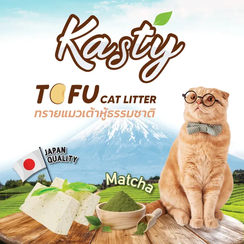 Kasty Tofu Matcha รูปที่ 2